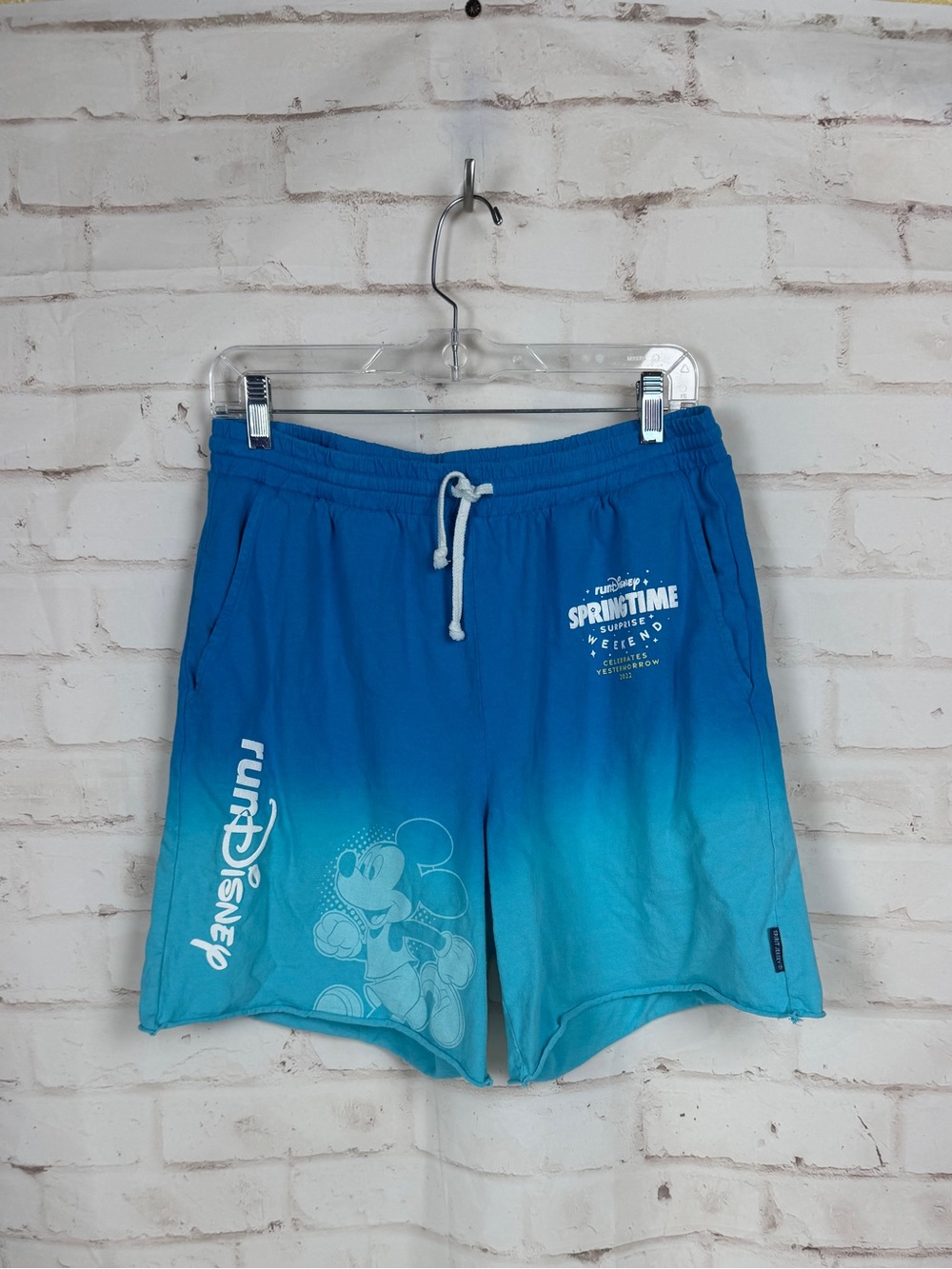 run Disney Spirit Jersey Gym Shorts Size Small